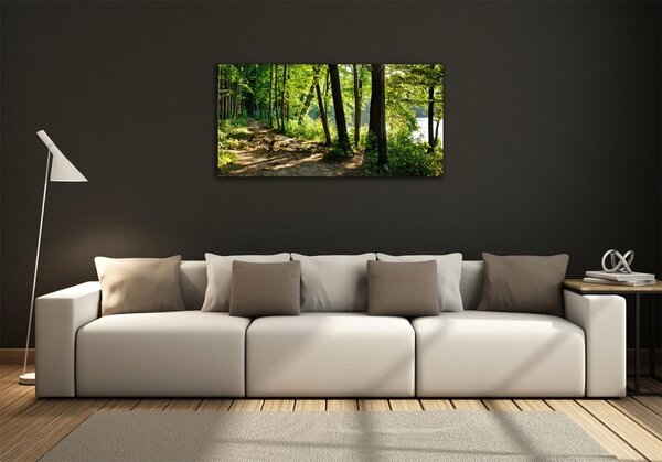 Fotoobraz na skle Stezka na louce osh-89440501