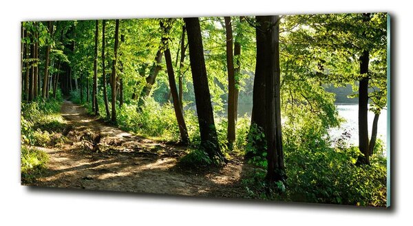 Fotoobraz na skle Stezka na louce osh-89440501