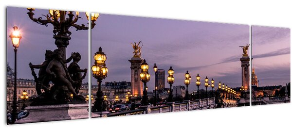 Obraz - Most Alexandra III. v Paříži (170x50 cm)