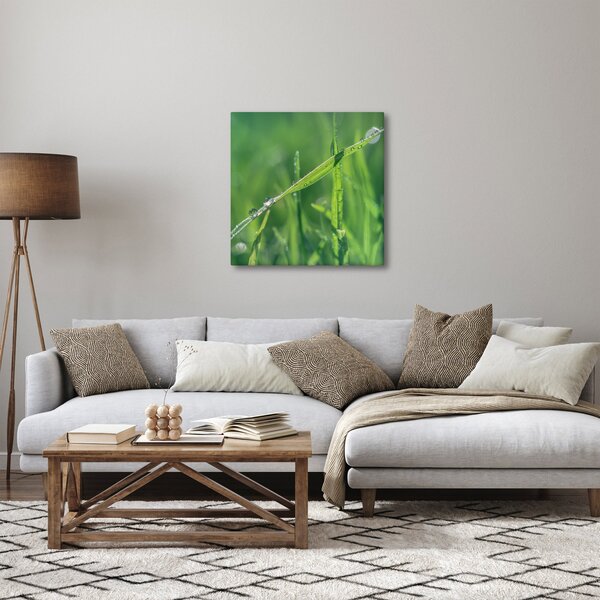 Obraz kapek rosy (30x30 cm)