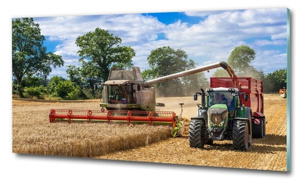 Foto obraz sklo tvrzené Kombajn a traktor osh-89579937