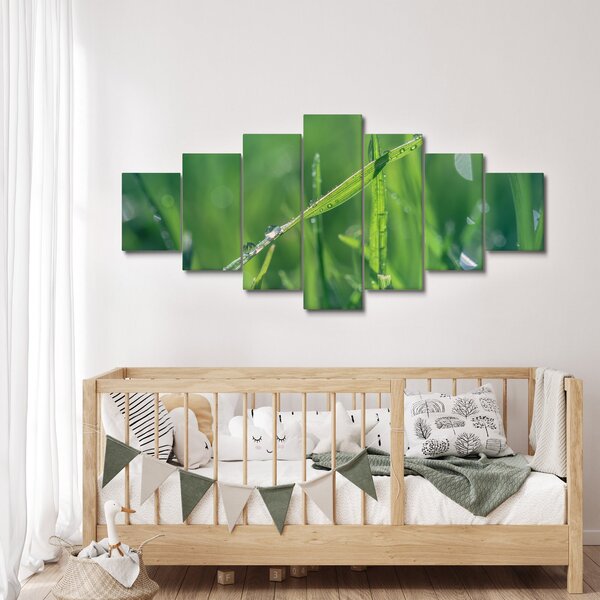 Obraz kapek rosy (210x100 cm)