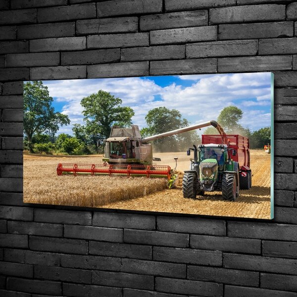 Foto obraz sklo tvrzené Kombajn a traktor osh-89579937