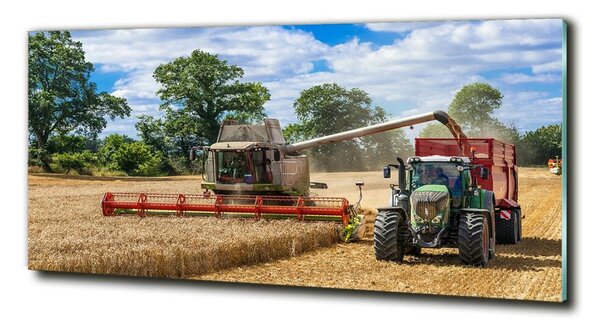 Foto obraz sklo tvrzené Kombajn a traktor osh-89579937