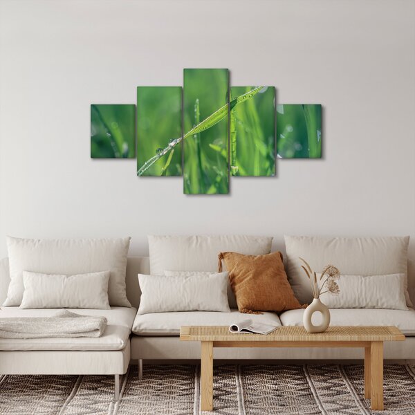 Obraz kapek rosy (125x70 cm)