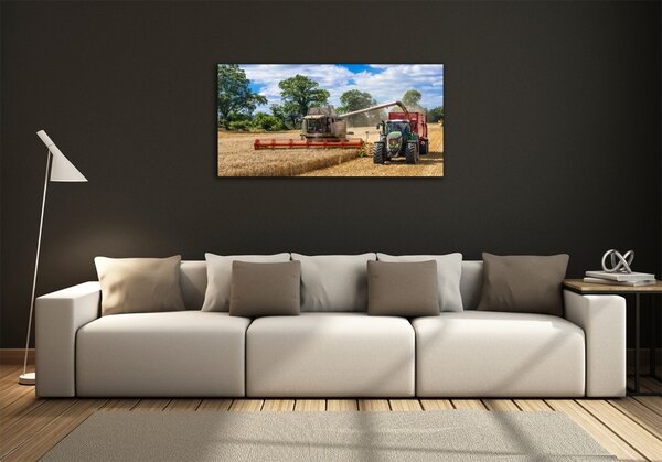 Foto obraz sklo tvrzené Kombajn a traktor osh-89579937