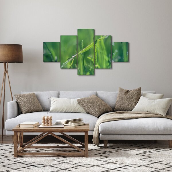Obraz kapek rosy (125x70 cm)