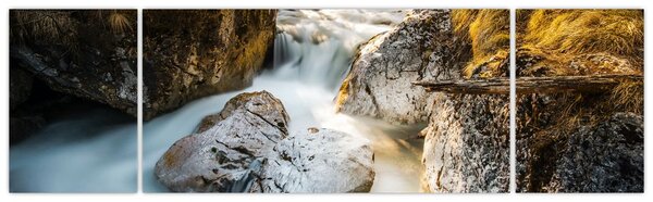 Obraz - Lesní potok (170x50 cm)