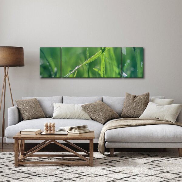 Obraz kapek rosy (170x50 cm)