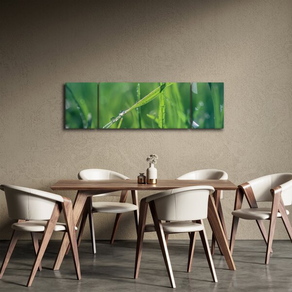 Obraz kapek rosy (170x50 cm)