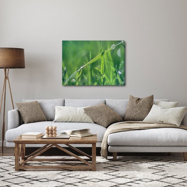 Obraz kapek rosy (70x50 cm)
