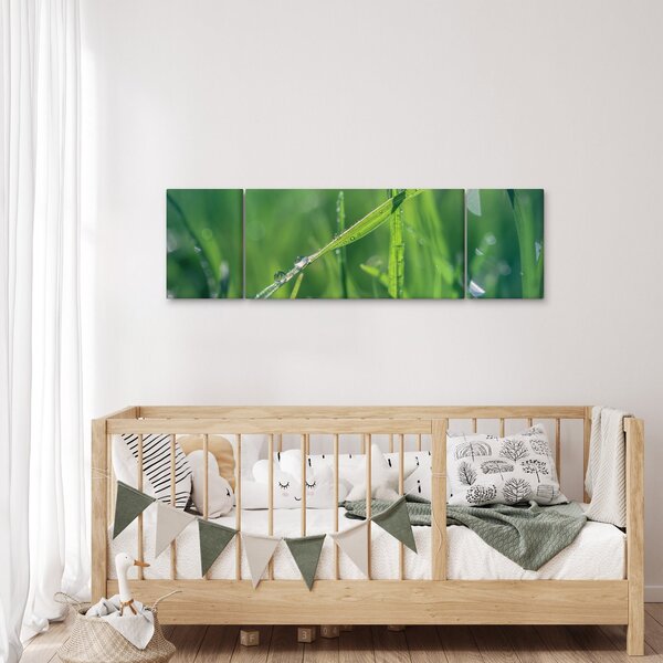 Obraz kapek rosy (170x50 cm)