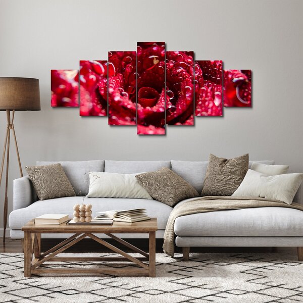 Obraz květu červené růže (210x100 cm)