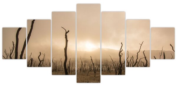 Obraz - Holé stromy (210x100 cm)