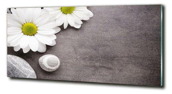 Foto obraz fotografie na skle Gerbera osh-89978317