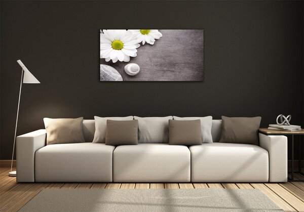 Foto obraz fotografie na skle Gerbera osh-89978317