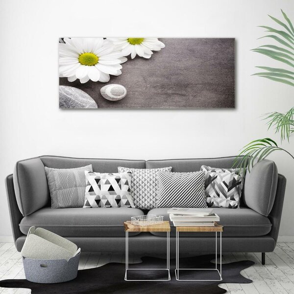 Foto obraz fotografie na skle Gerbera osh-89978317