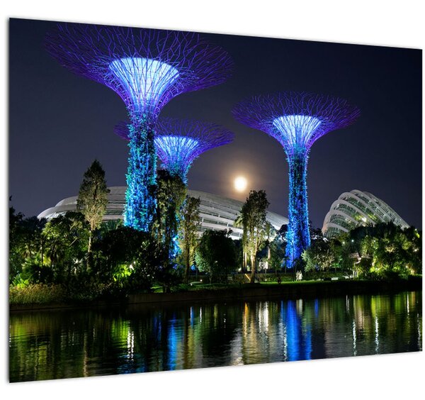 Obraz úplňku v Singapuských zahradách (70x50 cm)