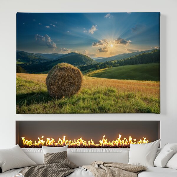 Obraz na plátně - Zapomenutý balík sena u pole FeelHappy.cz Velikost obrazu (šířka x výška): 40 x 30 cm