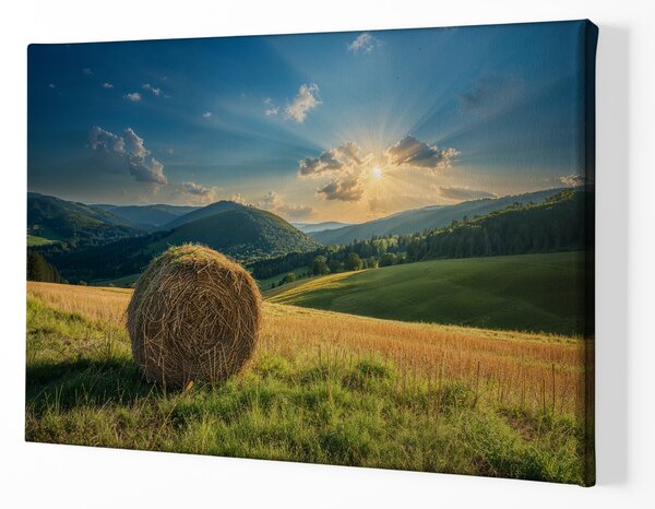 Obraz na plátně - Zapomenutý balík sena u pole FeelHappy.cz Velikost obrazu (šířka x výška): 40 x 30 cm