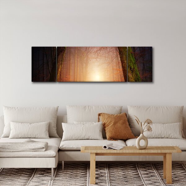 Obraz podzimního lesa v mlze (170x50 cm)