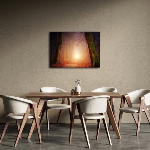 Obraz podzimního lesa v mlze (70x50 cm)