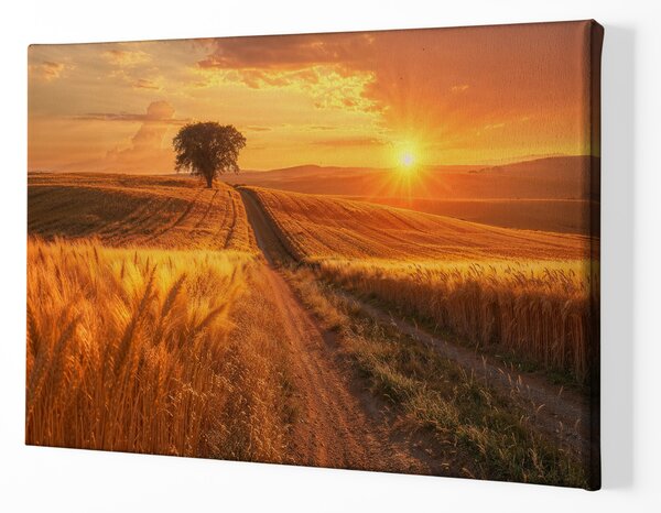 Obraz na plátně - Osamělý fešák u cesty FeelHappy.cz Velikost obrazu (šířka x výška): 40 x 30 cm