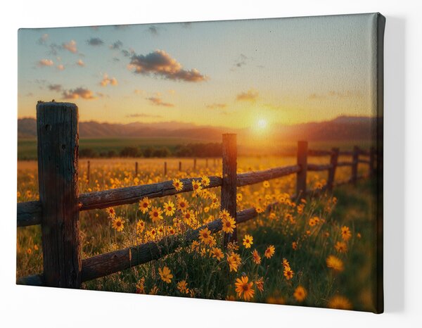 Obraz na plátně - Louka za dřevěným plotem FeelHappy.cz Velikost obrazu (šířka x výška): 40 x 30 cm