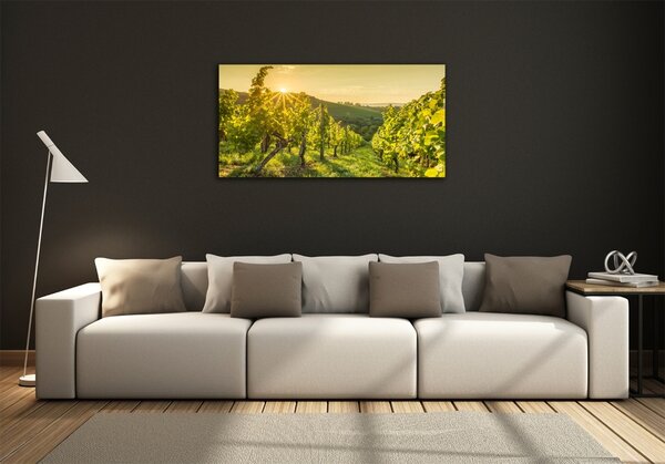 Foto obraz skleněný horizontální Vinice osh-90317015