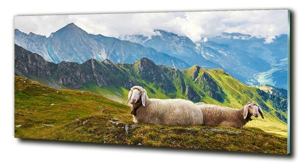Foto-obraz fotografie na skle Ovce v Alpách osh-90327187