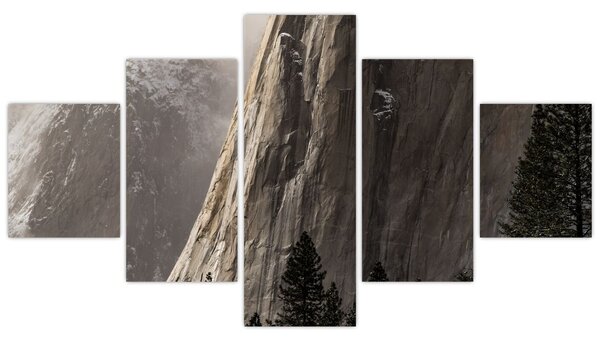 Obraz z údolí Yosemite národní parku, USA (125x70 cm)