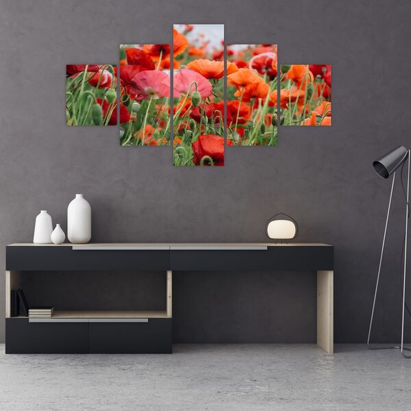 Obraz z pole vlčích máků (125x70 cm)