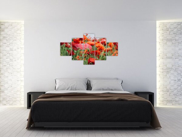 Obraz z pole vlčích máků (125x70 cm)