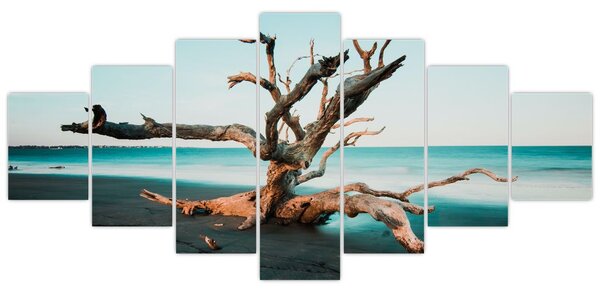 Obraz - Vyplaveno na pláži (210x100 cm)