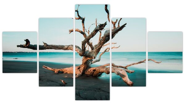 Obraz - Vyplaveno na pláži (125x70 cm)