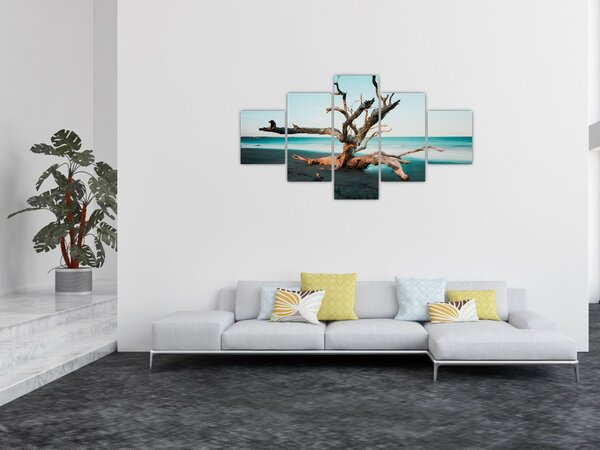 Obraz - Vyplaveno na pláži (125x70 cm)