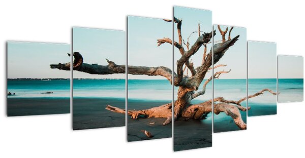 Obraz - Vyplaveno na pláži (210x100 cm)