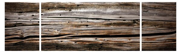 Obraz - sezónní dřevo (170x50 cm)
