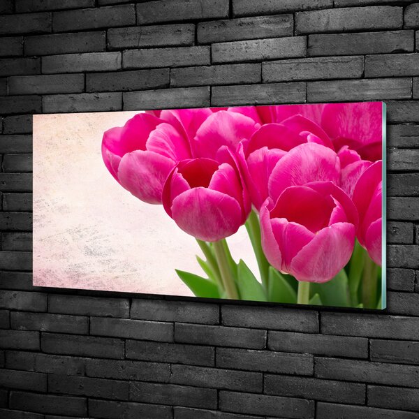 Foto-obraz fotografie na skle Růžové tulipány osh-90952565