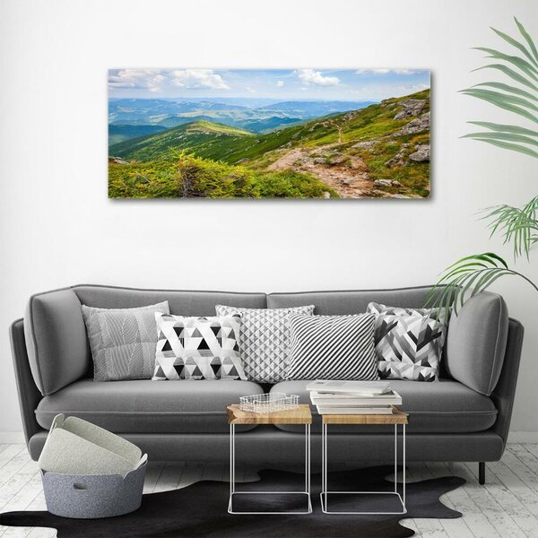 Foto obraz fotografie na skle Zelené pahorky osh-91008268