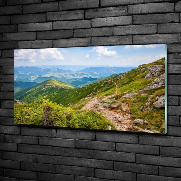 Foto obraz fotografie na skle Zelené pahorky osh-91008268