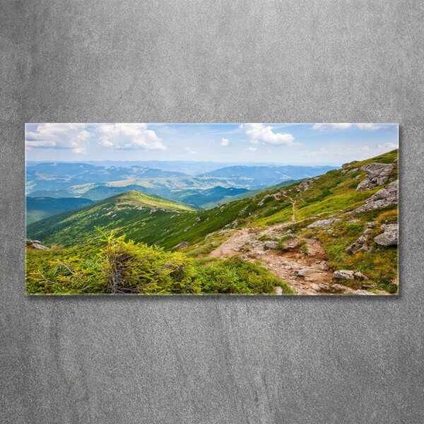 Foto obraz fotografie na skle Zelené pahorky osh-91008268
