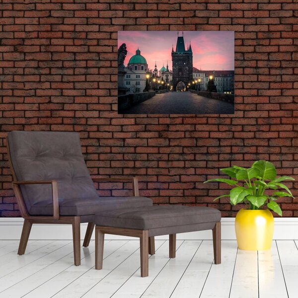 Obraz - Na Karlově mostě (70x50 cm)