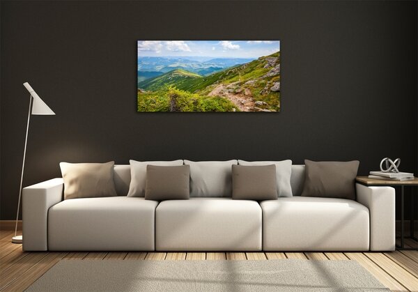 Foto obraz fotografie na skle Zelené pahorky osh-91008268