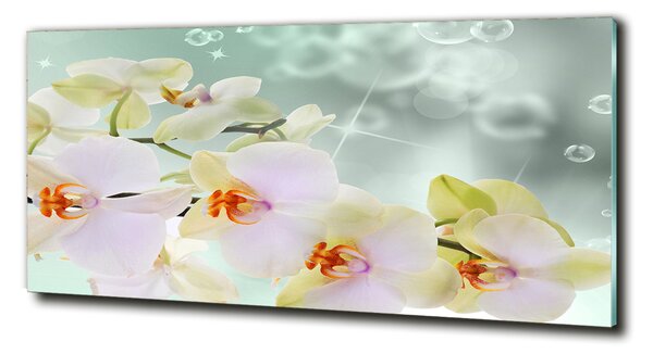 Foto obraz fotografie na skle Bílá orchidej osh-91133337