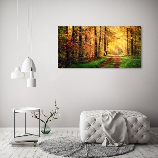 Fotoobraz na skle Podzimní les osh-91078750