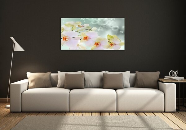 Foto obraz fotografie na skle Bílá orchidej osh-91133337