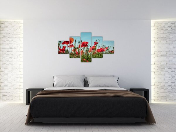 Obraz - Na poli vlčích máků (125x70 cm)