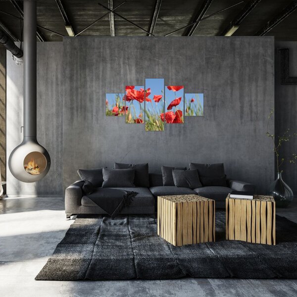 Obraz - Vlčí máky (125x70 cm)