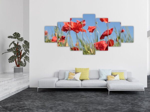 Obraz - Vlčí máky (210x100 cm)